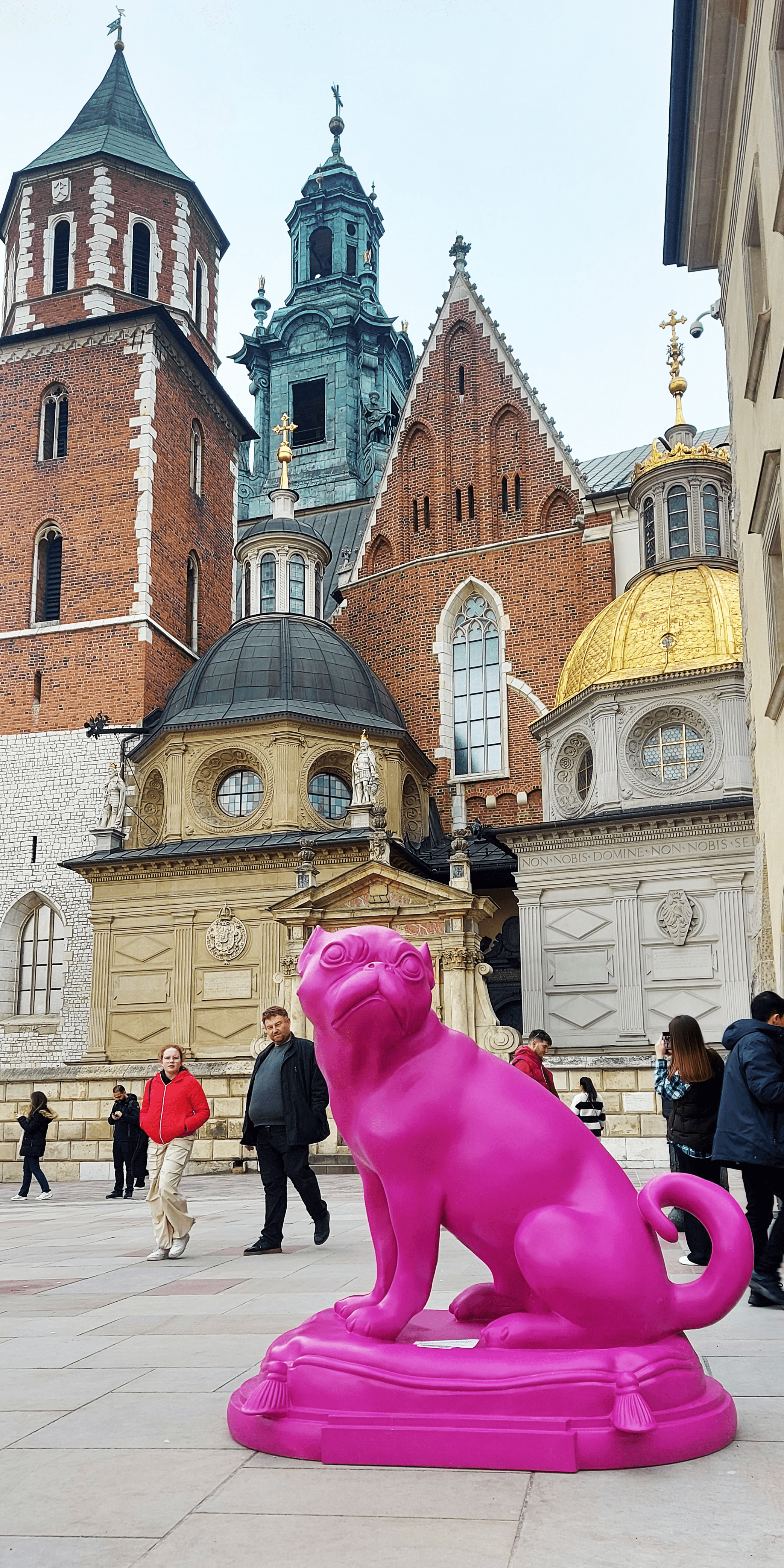 Odkrywamy tajemnice Wawelu: Królewska porcelana i różowy mops